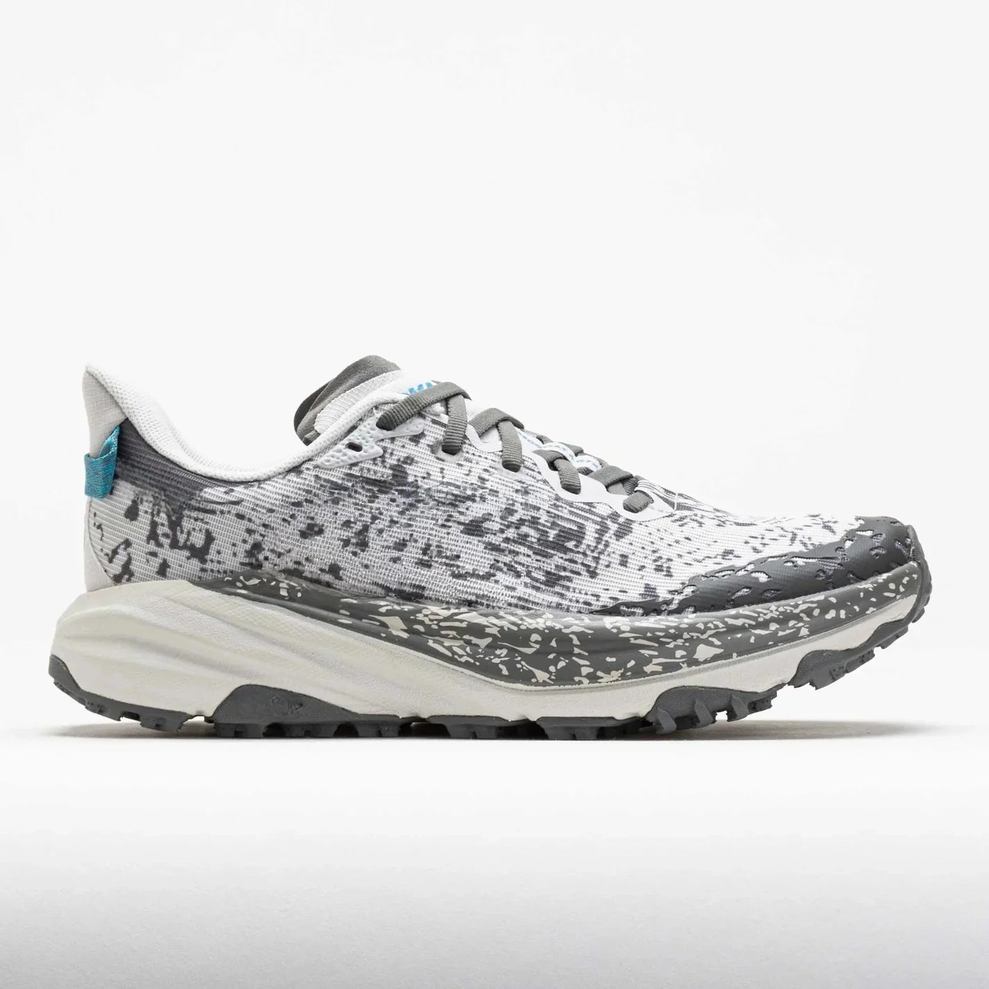 Speedgoat 6 GTX Women's Cosmic Grey/Asteroid